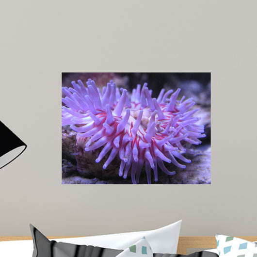 Colorful Sea Anemone 2 Wall Mural