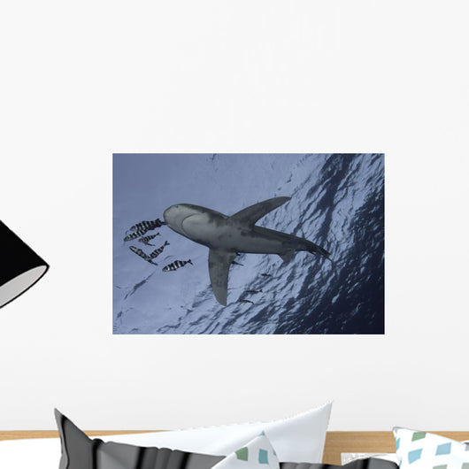 Oceanic White Tip Shark Wall Decal