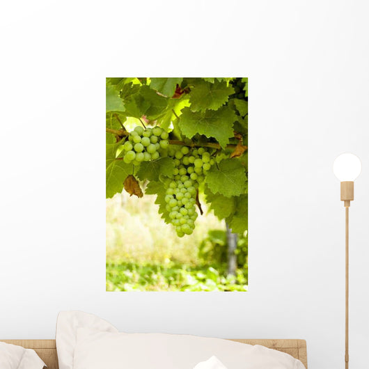Weintrauben Wall Decal