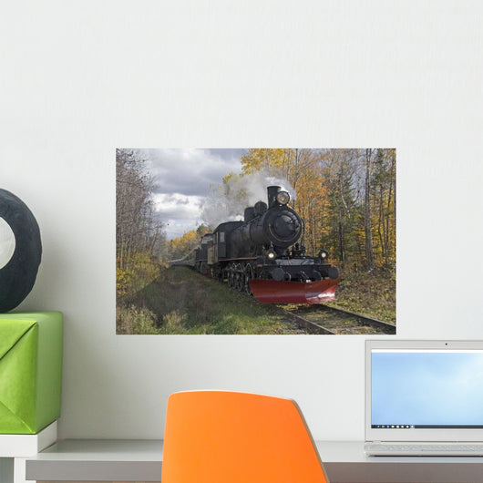 Steam Train Wall Mural