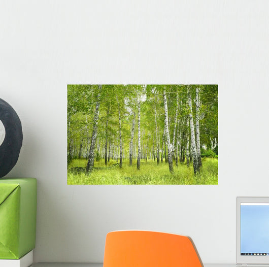 Birch Wall Decal