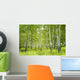 Birch Wall Decal