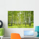 Birch Wall Decal