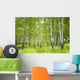 Birch Wall Decal