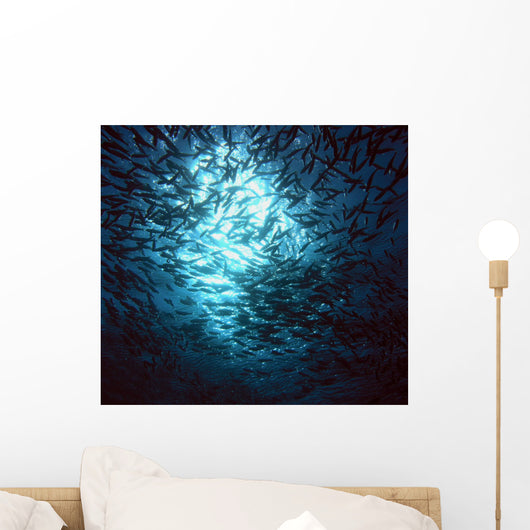School of Fish Wall Mural