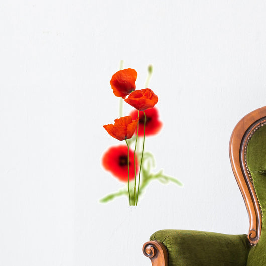 poppies on white - red poppy, floral design Wall Decal