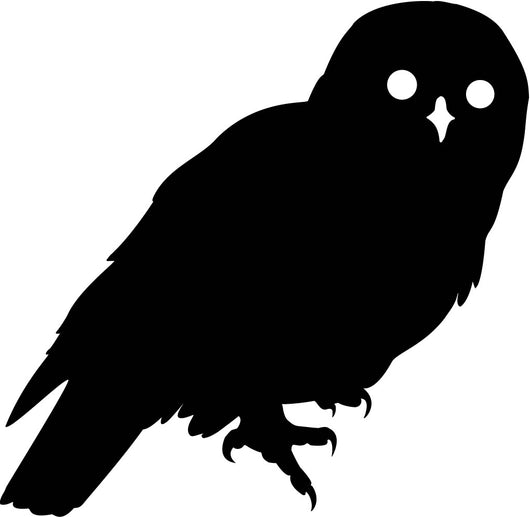 Owl Bird Silhouette Wall Decal