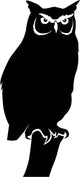 Owl Standing Branch Bird Wall Decal