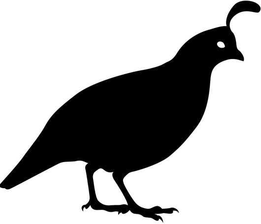 Quail Standing Bird Silhouette Wall Decal