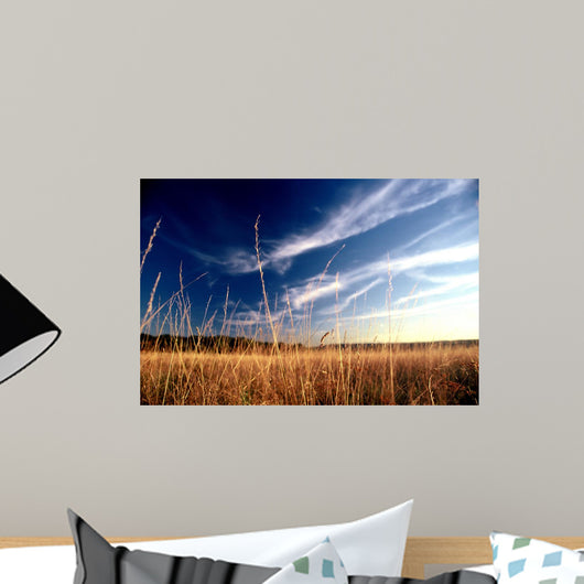 Herbes Hautes Wall Mural