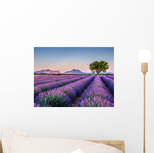 Lavandes 5 Wall Decal
