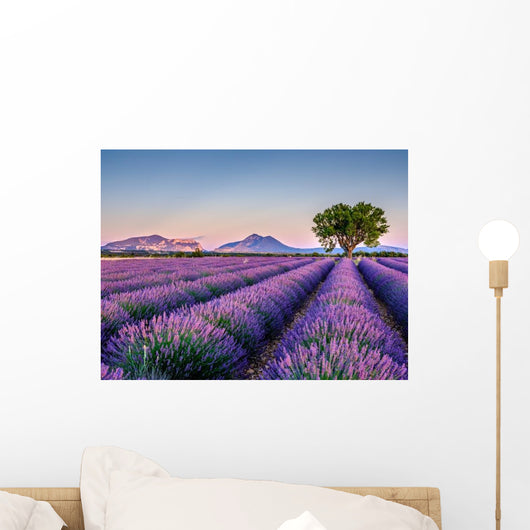 Lavandes 5 Wall Decal