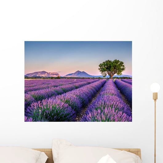 Lavandes 5 Wall Decal