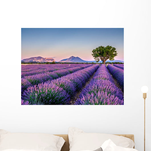 Lavandes 5 Wall Decal