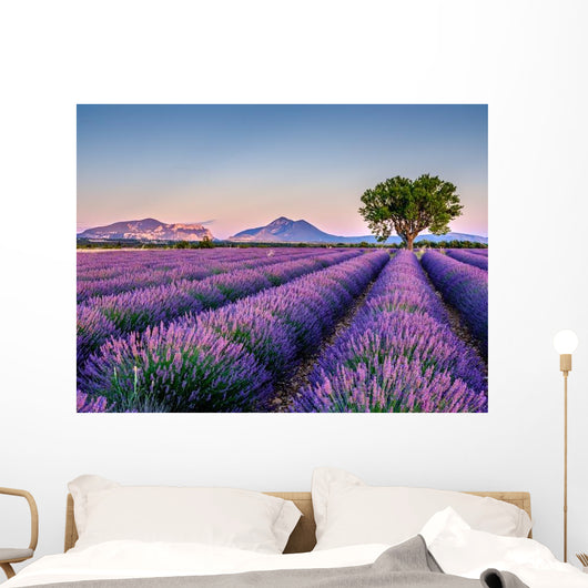 Lavandes 5 Wall Decal