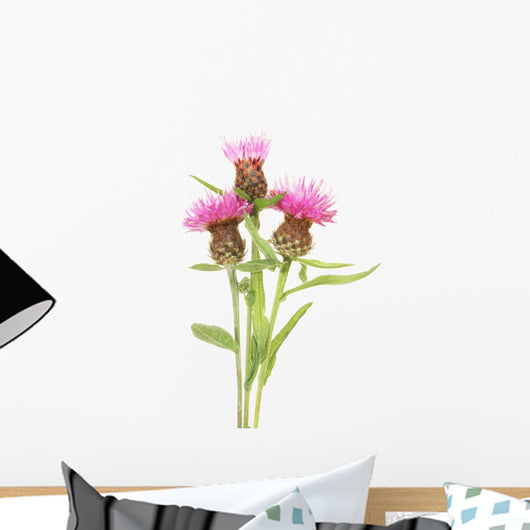 Thistle flowers Wall Decal