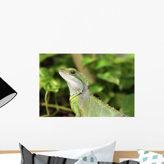 Reptile Wall Mural