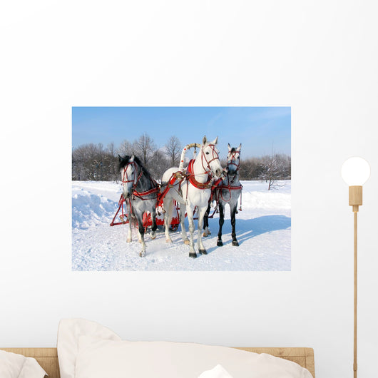 russian three Wall Mural