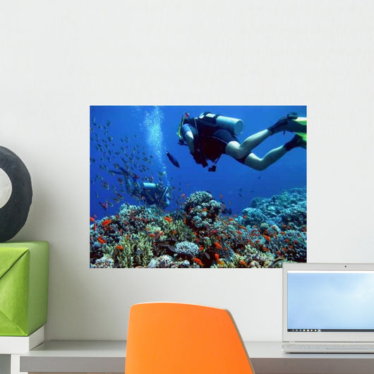 Diving Wall Decal