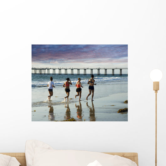 a run to the pier Wall Mural