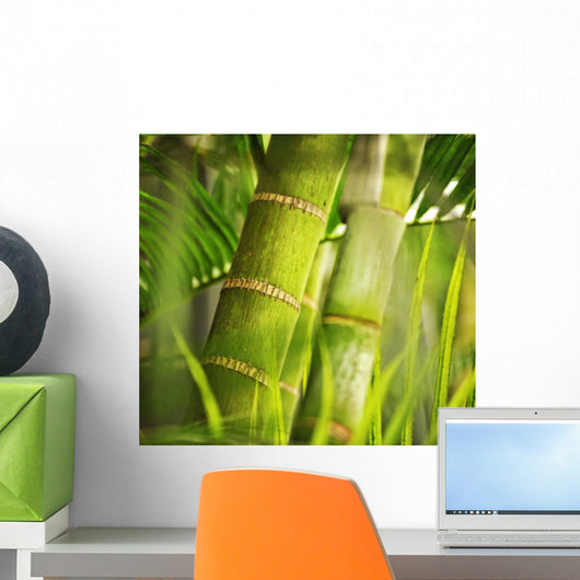 Green plant close-up Wall Mural