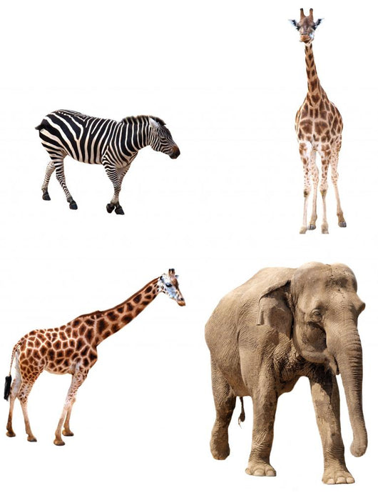Africa Animals Collection Wall Stickers