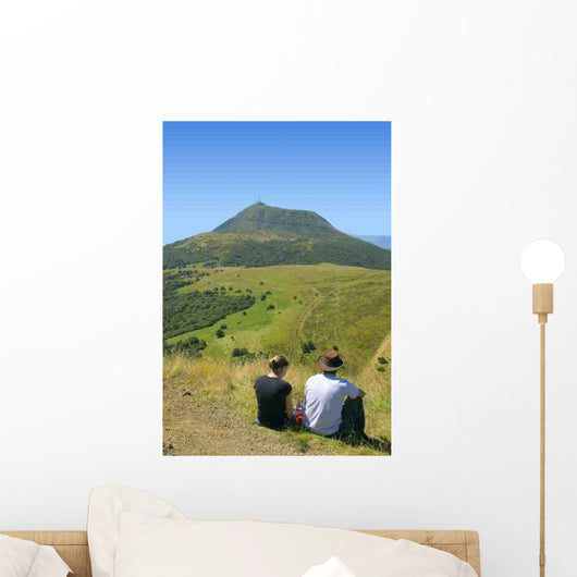 Vue Sur Le Puy Wall Decal