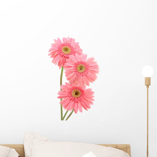 Pink Gerber Daisies Wall Decal
