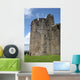 Caerphilly Castle Wall Mural