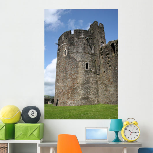Caerphilly Castle Wall Mural