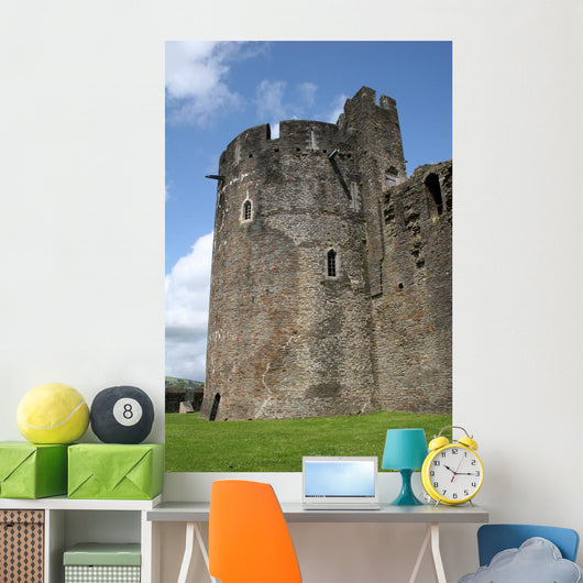 Caerphilly Castle Wall Mural