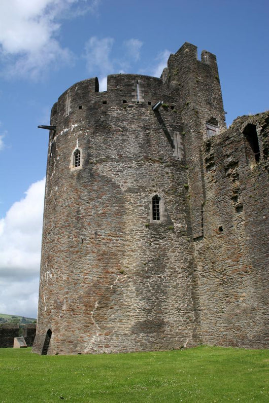 Caerphilly Castle Wall Mural