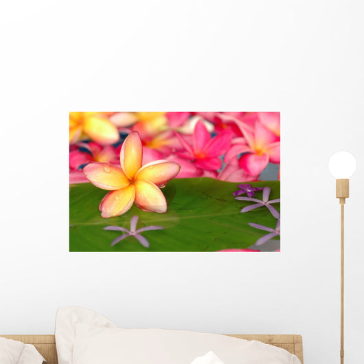 Tropical spa Wall Mural