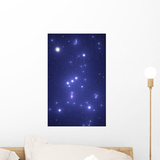 The constellation of Orion Wall Mural