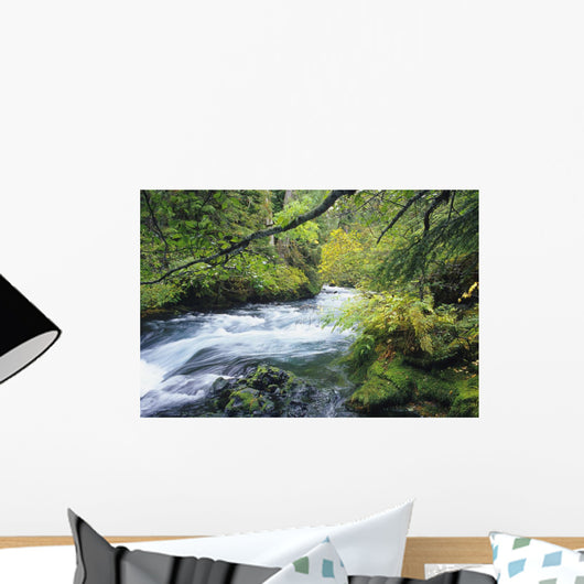 Beautiful McKenzie River Wall Decal
