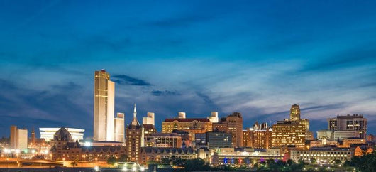 Albany Night Skyline Wall Decal