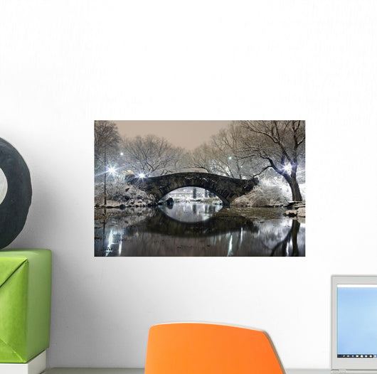 Central Park at Night NYC Wall Mural