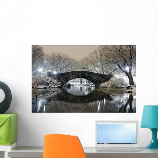 Central Park at Night NYC Wall Mural