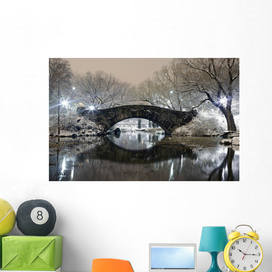 Central Park at Night NYC Wall Mural