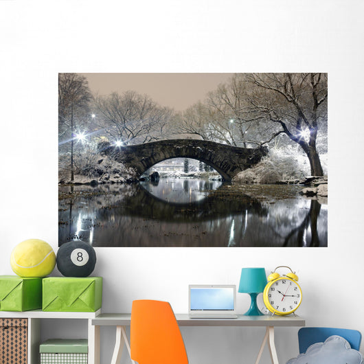 Central Park at Night NYC Wall Mural