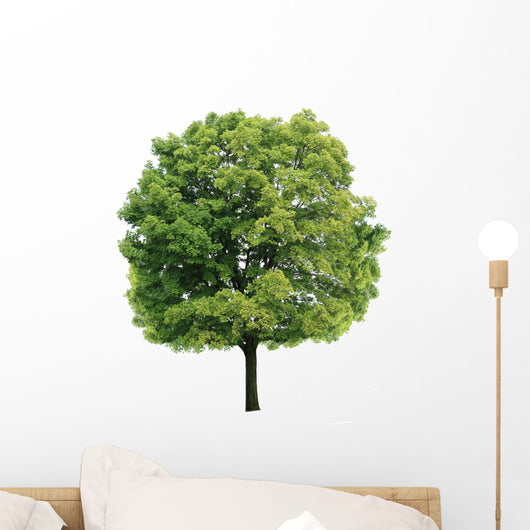 Maple Tree Wall Decal