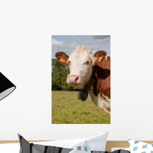 Montbeliarde Cow and His Wall Mural