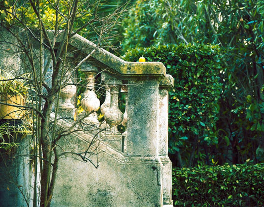 Green Garden France Wall Mural