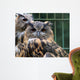 UHU Wall Mural