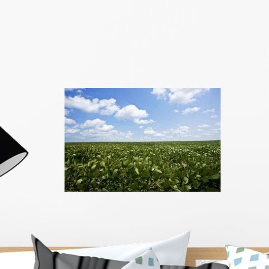 Soybean Field Wall Decal