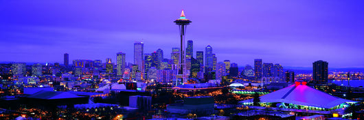 Seattle Skyline Wall Decal