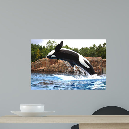 Killer Whale Wall Mural