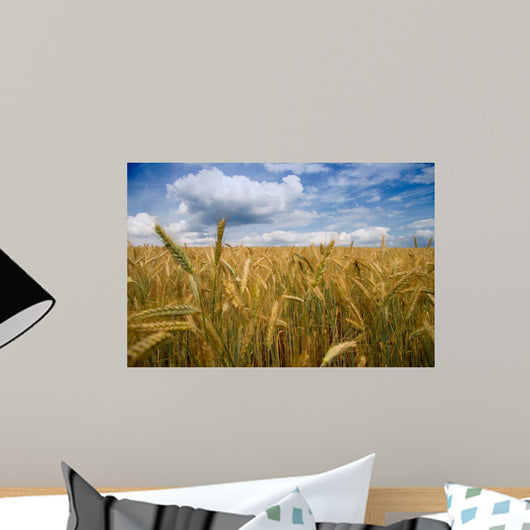 kornfeld Wall Mural