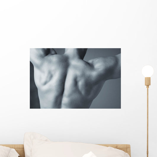 A Man's Back Wall Mural