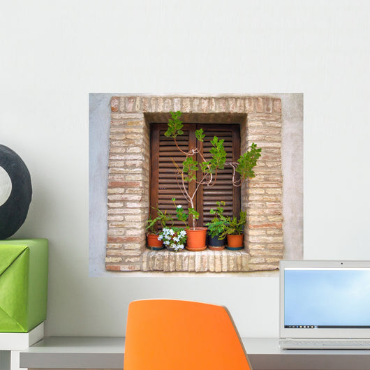 Window With Flowers Wall Mural